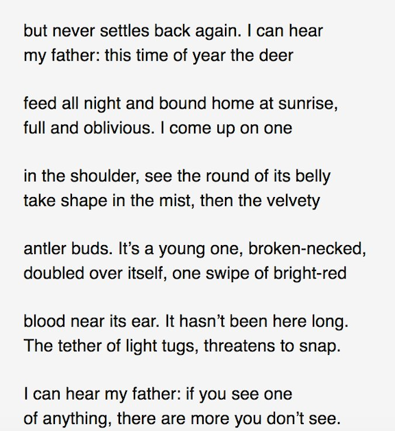 I can hear my father: this time of year the deer feed all night and bound home at sunrise, full and oblivious. I come up on one in the shoulder, see the round of its belly take shape in the mist, then the velvety antler buds. It's a young one, broken-necked, doubled over itself, one swipe of bright-red blood near its ear. It hasn't been here long. The tether of light tugs, threatens to snap. I can hear my father: if you see one of anything, there are more you don't see.