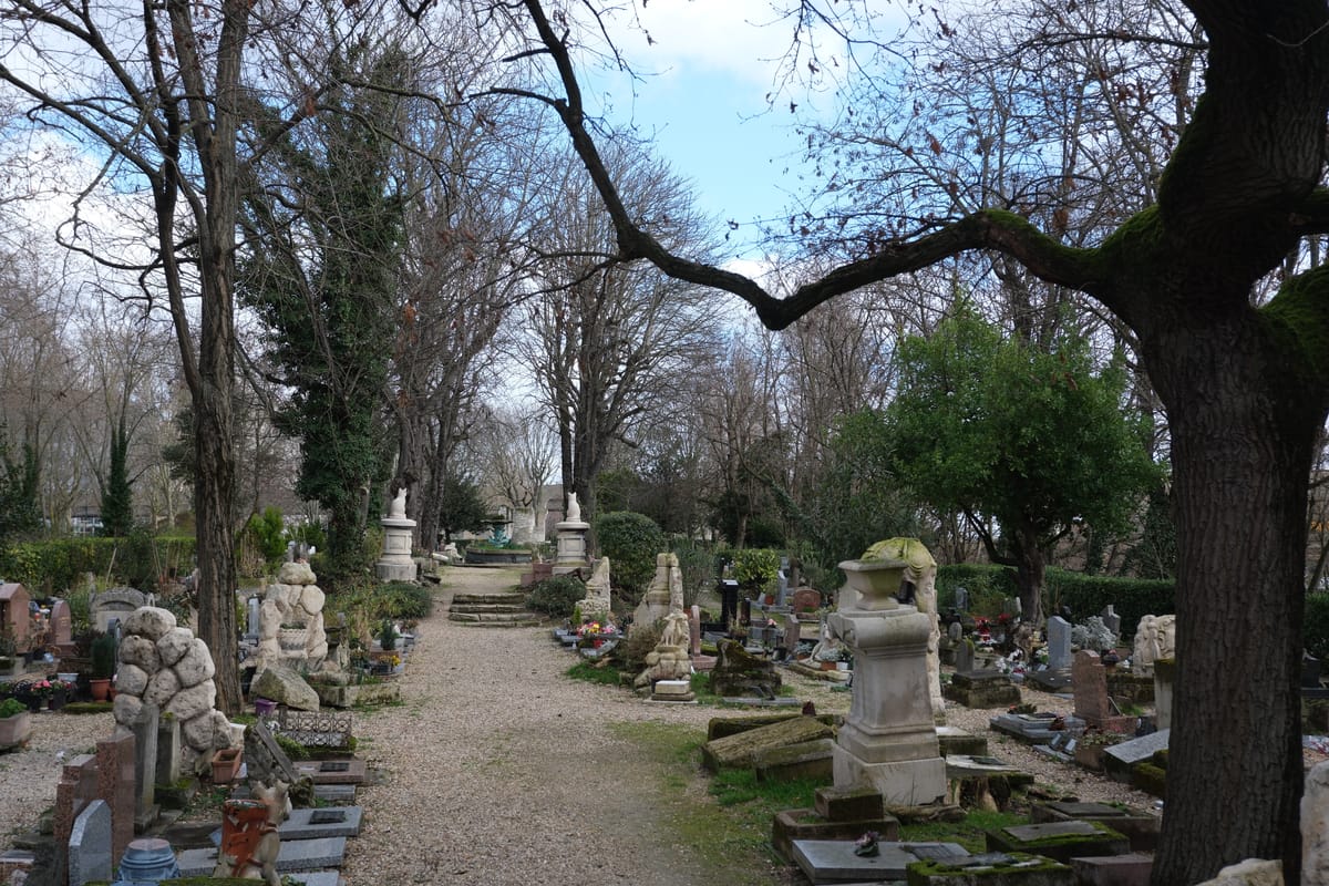 Meow Father Who Art in Heaven